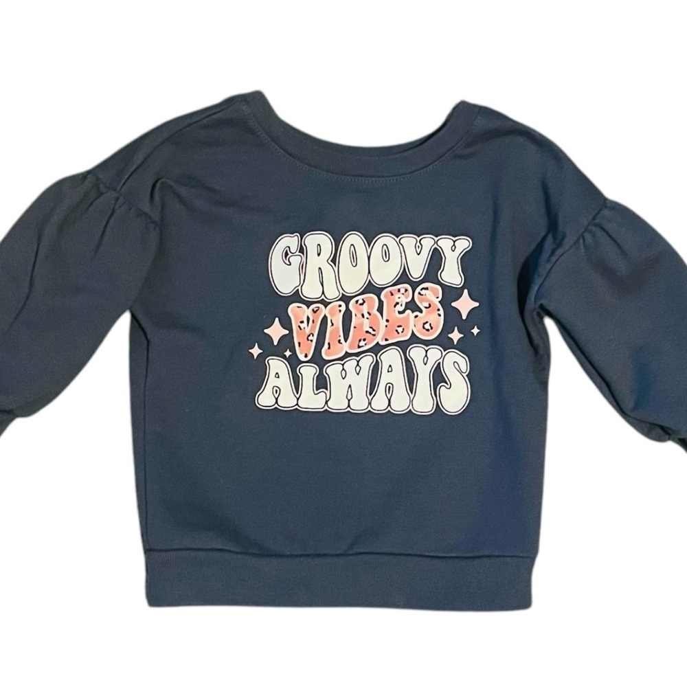 Garanimals French Terry graphic sweatshirt top slate gray Girls 12 Months